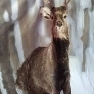 Matching deer throw and mug set